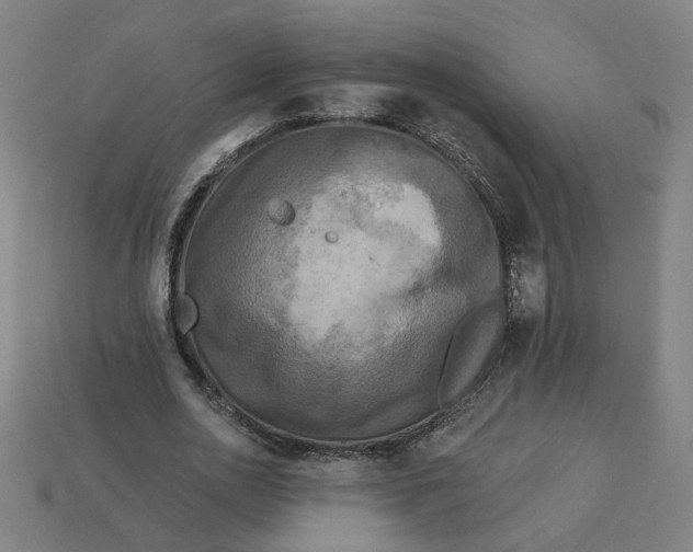 X0000113340726200910060957