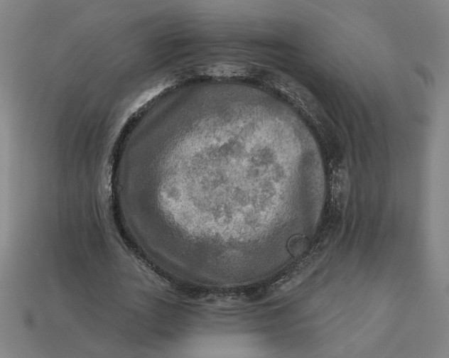 X0000113340727200910060957