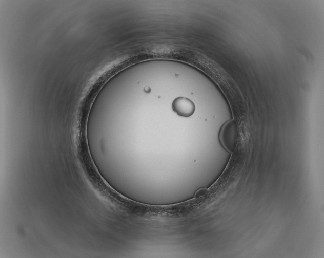 X0000113340728200910060957