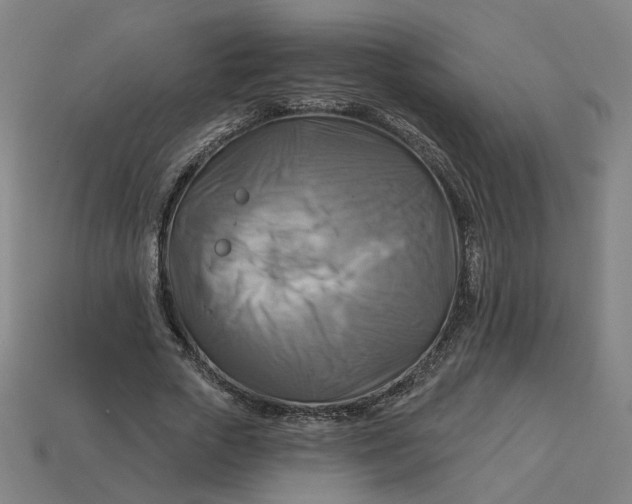 X0000113340729200910060957