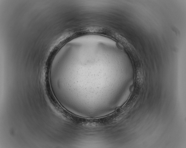 X0000113340730200910060957