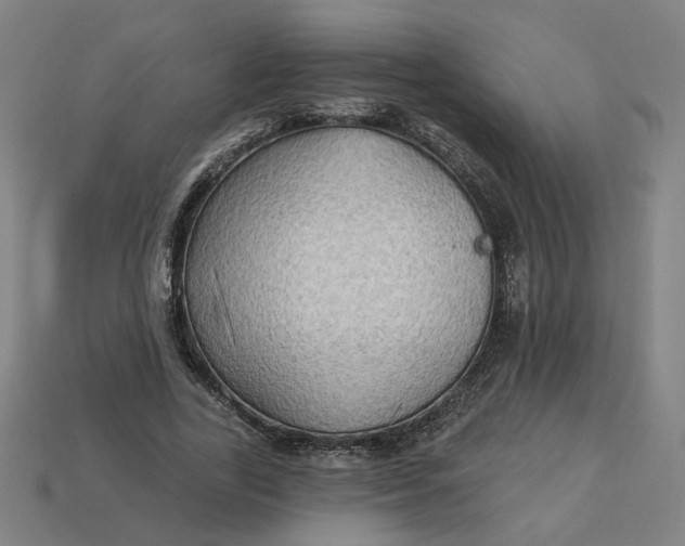 X0000113340731200910060957