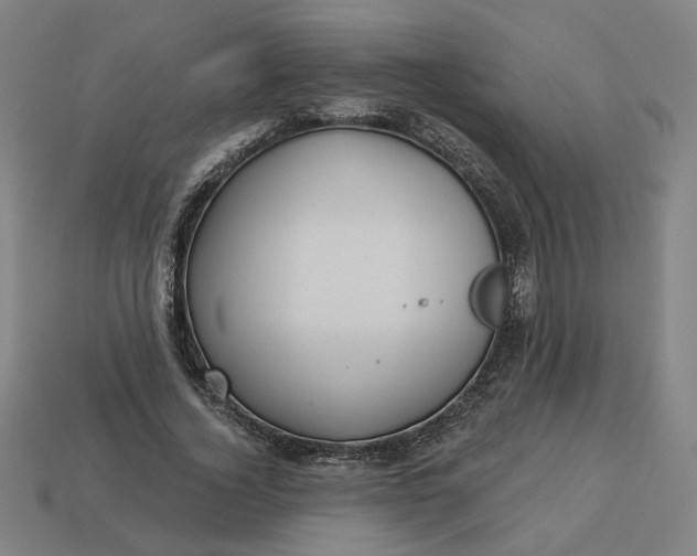 X0000113340732200910060957