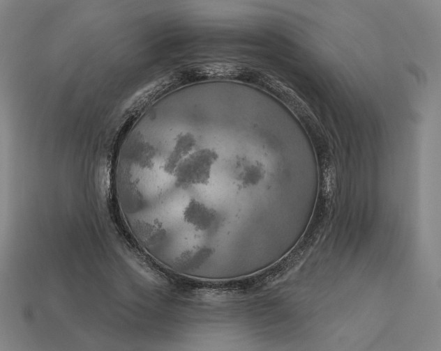 X0000113340733200910060957