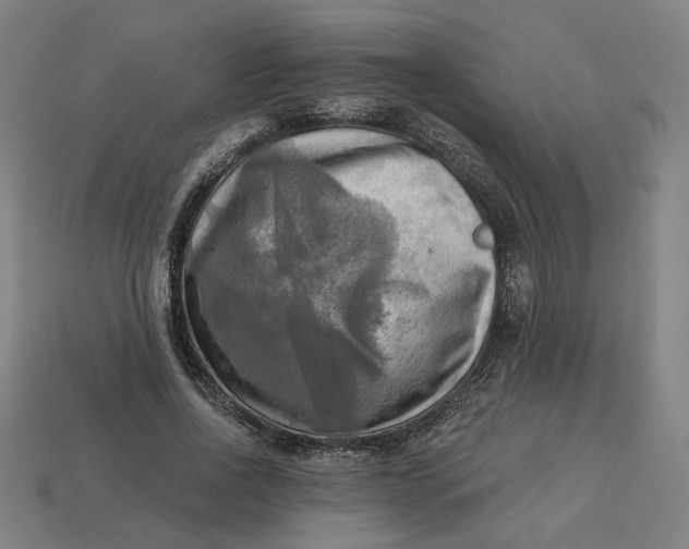 X0000113340734200910060957