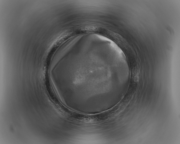 X0000113340735200910060957