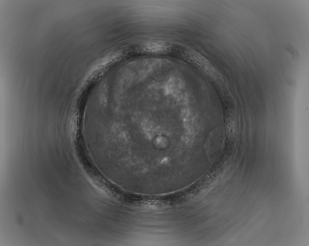 X0000113340736200910060957