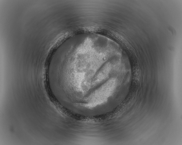 X0000113340738200910060957