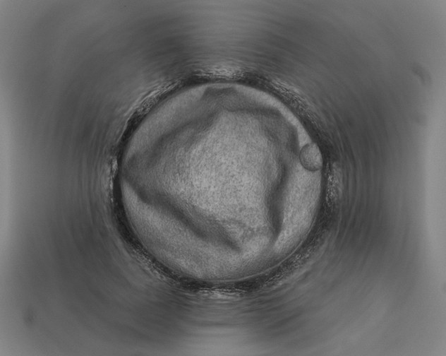 X0000113340739200910060957