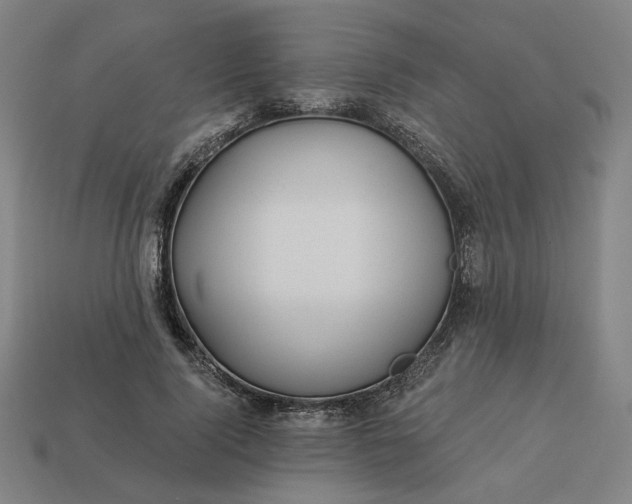 X0000113340740200910060957