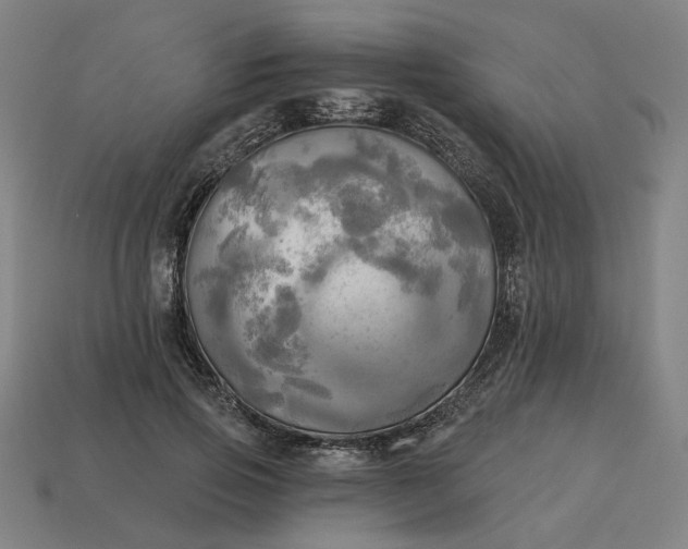 X0000113340741200910060957