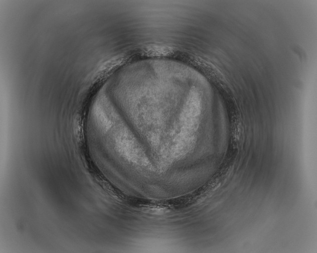 X0000113340743200910060957