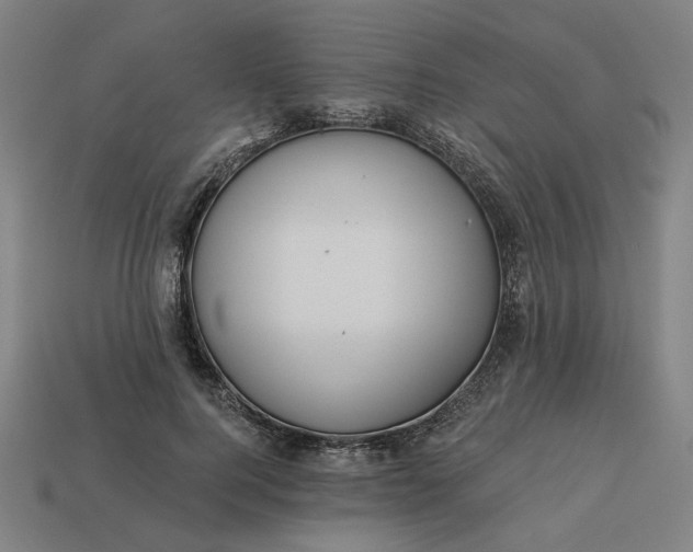 X0000113340744200910060957