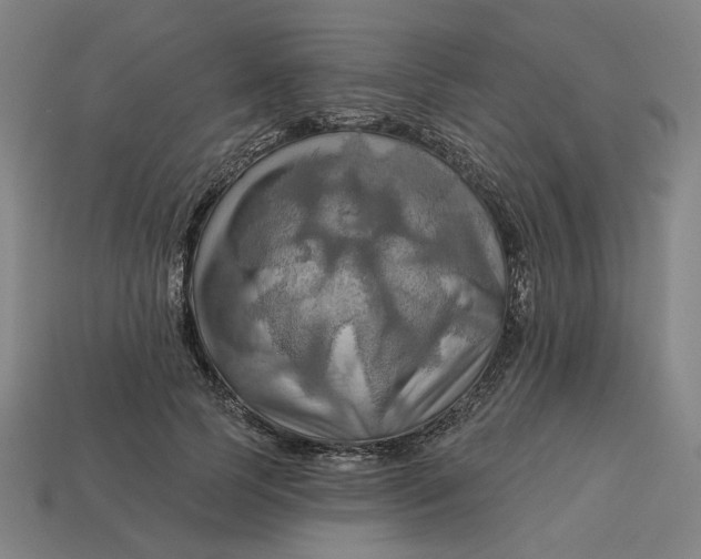 X0000113340745200910060957