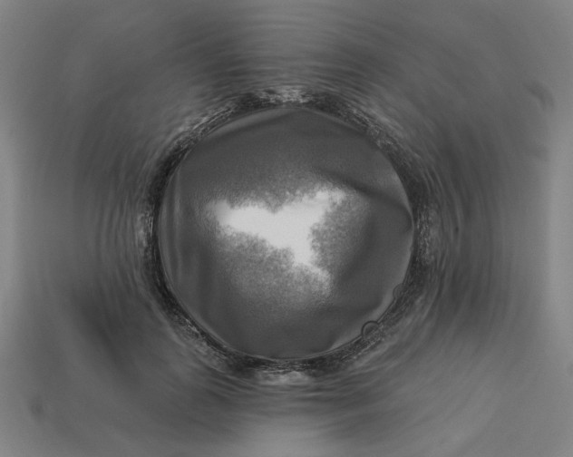 X0000113340747200910060957