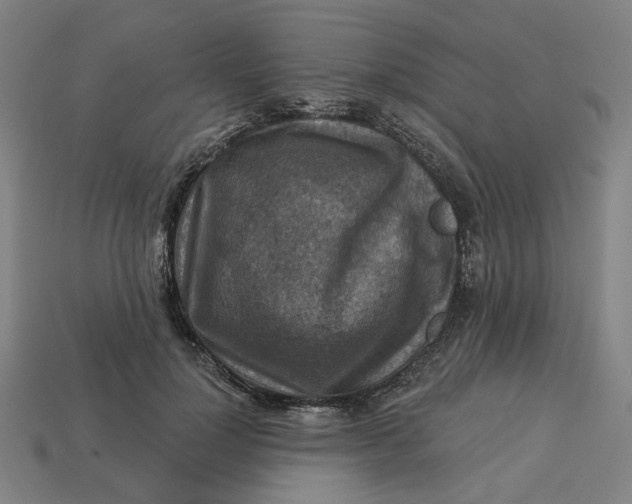 X0000113340748200910060957