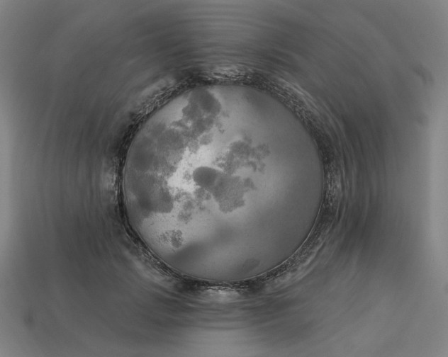 X0000113340749200910060957