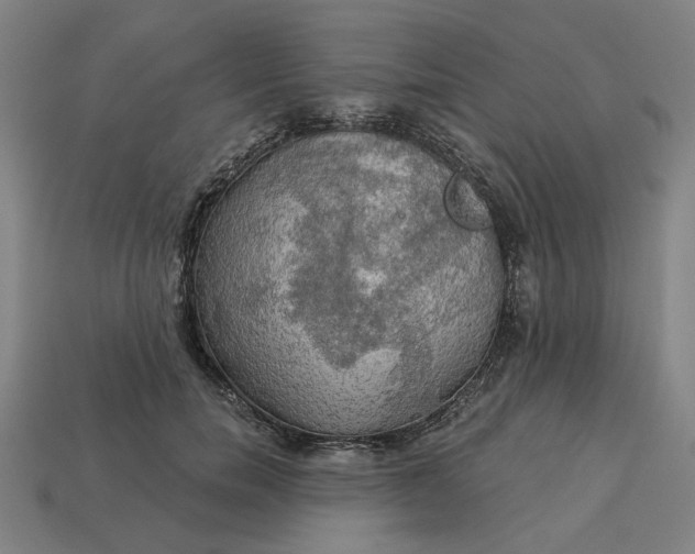 X0000113340750200910060957