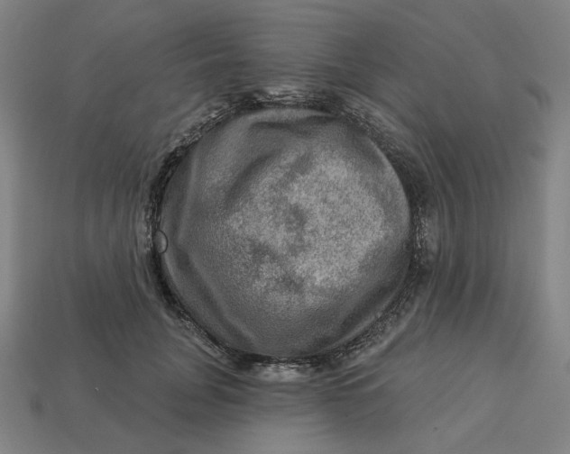 X0000113340751200910060957