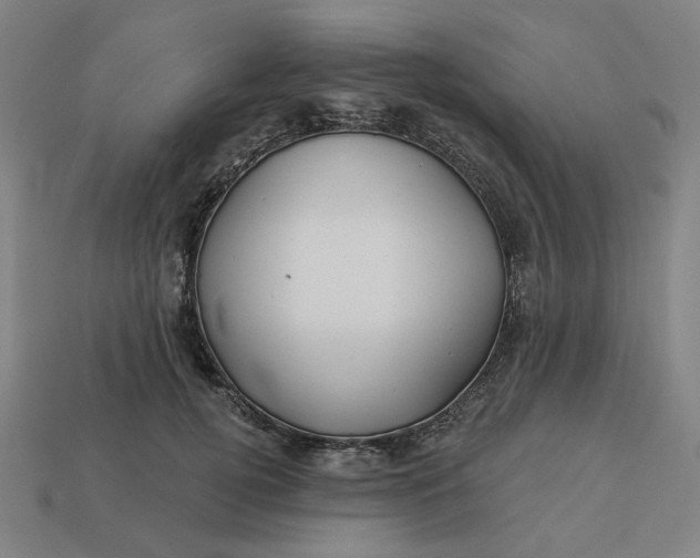 X0000113340752200910060957