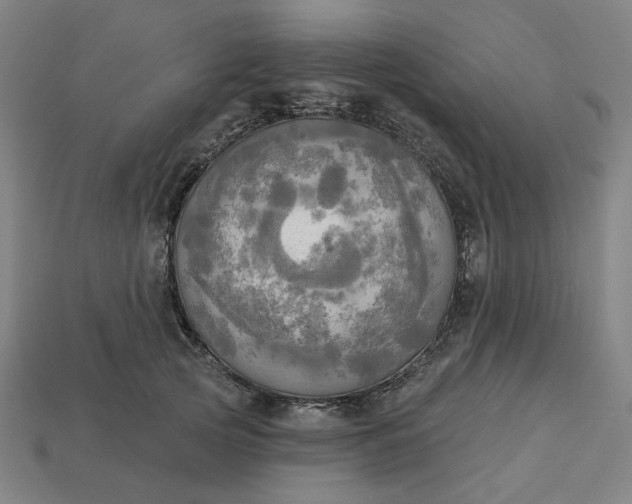 X0000113340753200910060957