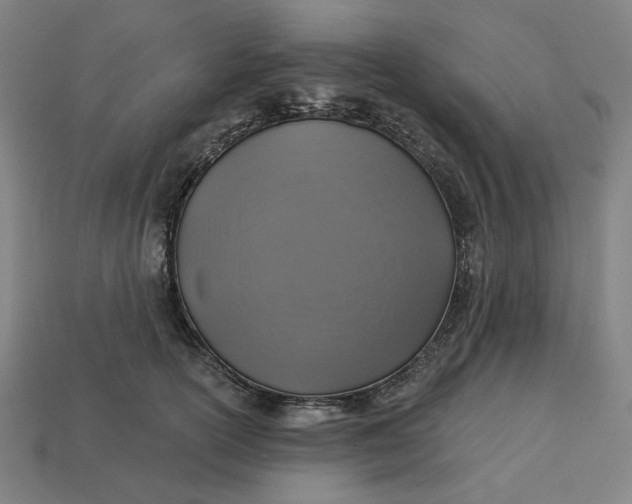 X0000113340754200910060957