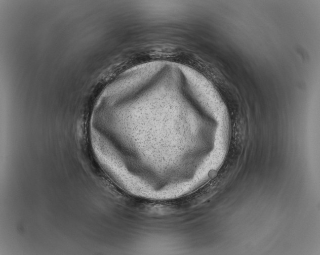 X0000113340755200910060957