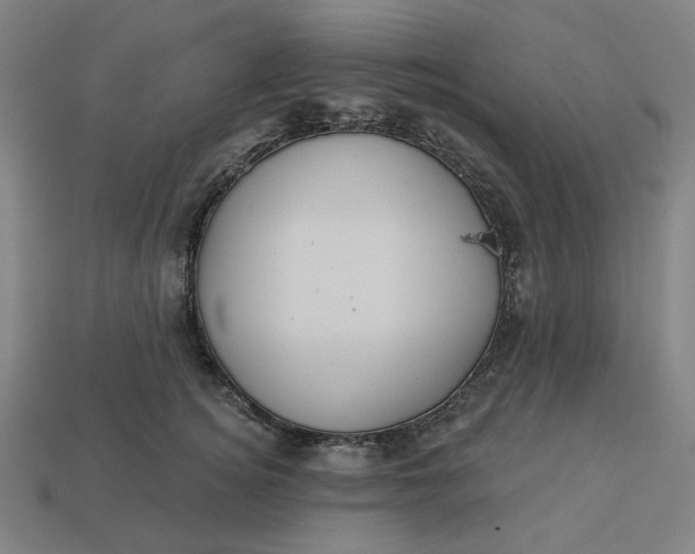 X0000113340756200910060957