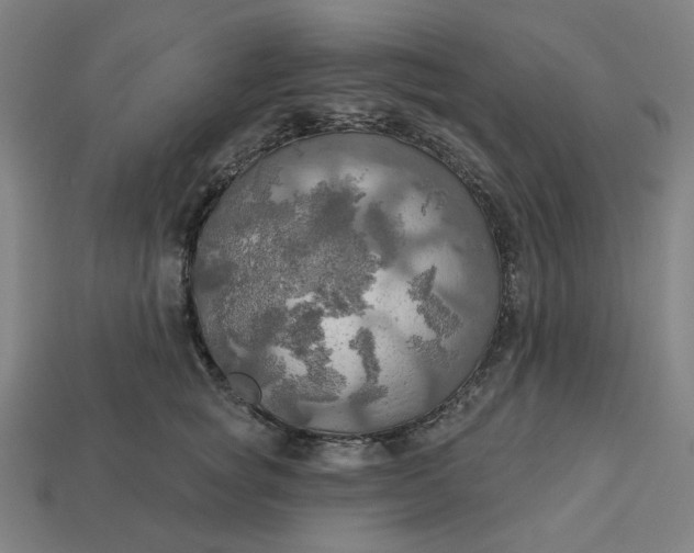 X0000113340757200910060958