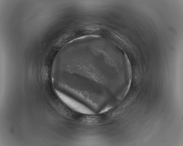 X0000113340758200910060958