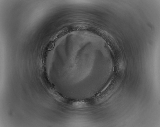 X0000113340759200910060958