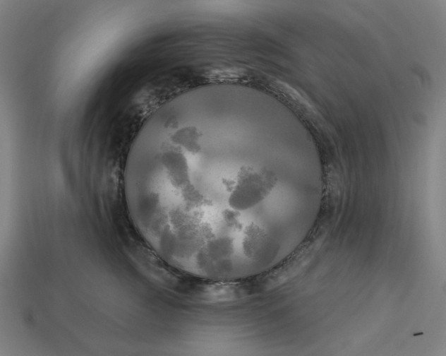 X0000113340761200910060958