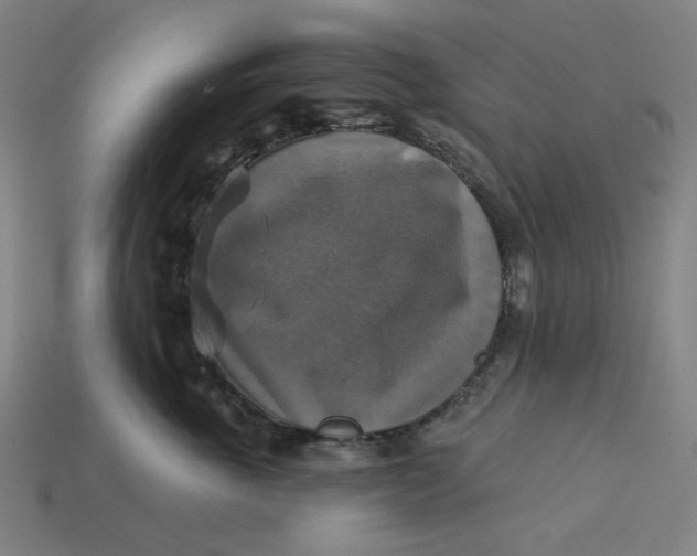 X0000113340763200910060958