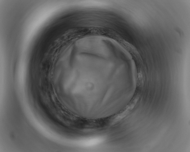 X0000113340765200910060958