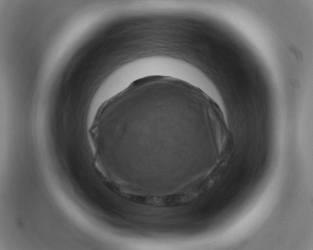 X0000113340766200910060958