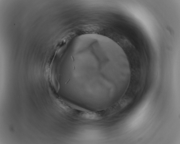 X0000113340767200910060958