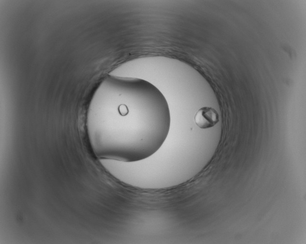 X0000113340768200910060958