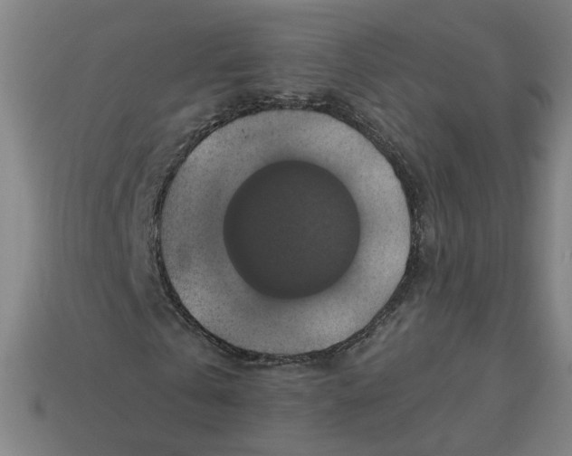 X0000113340769200910060957