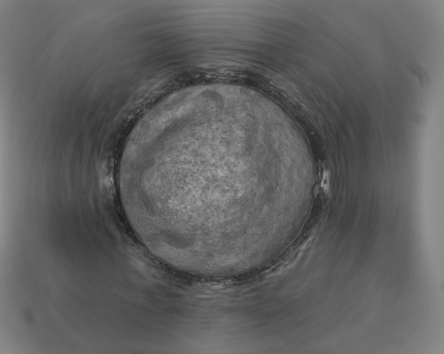 X0000113340771200910060957