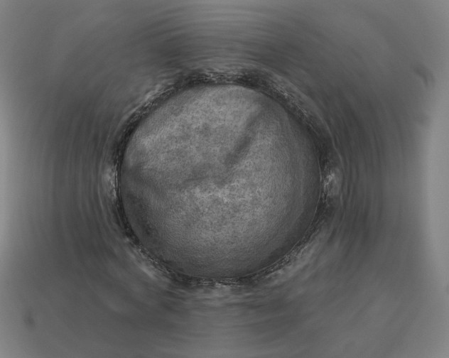 X0000113340772200910060957