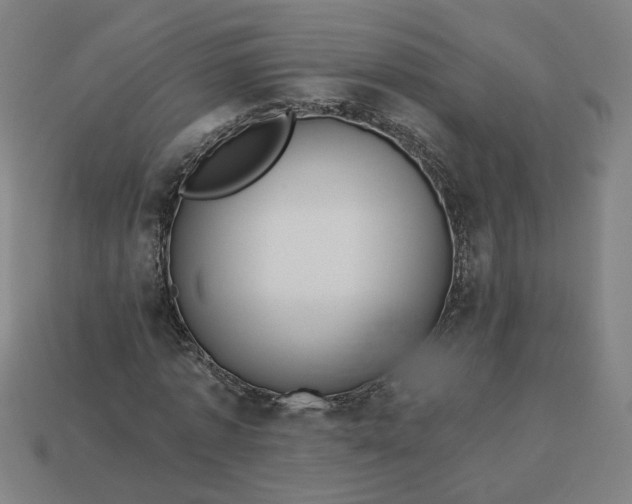 X0000113340773200910060957