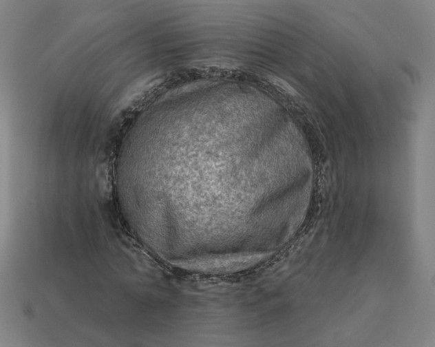 X0000113340774200910060957