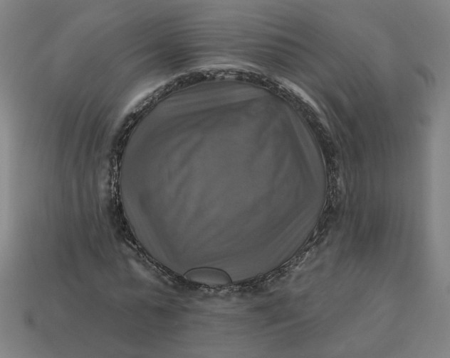 X0000113340775200910060957