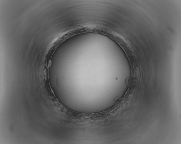 X0000113340776200910060957