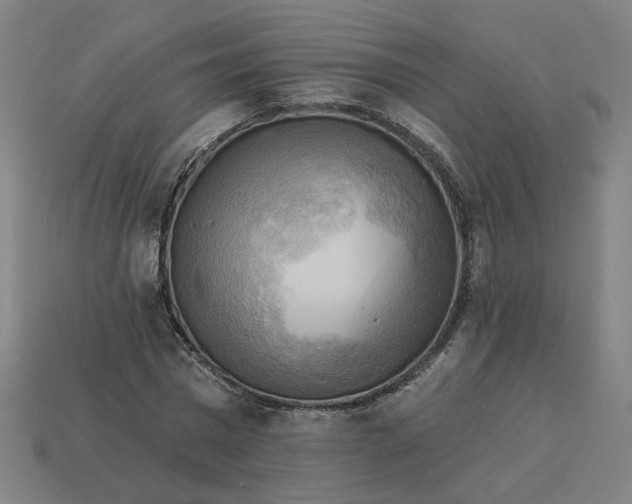 X0000113340777200910060957