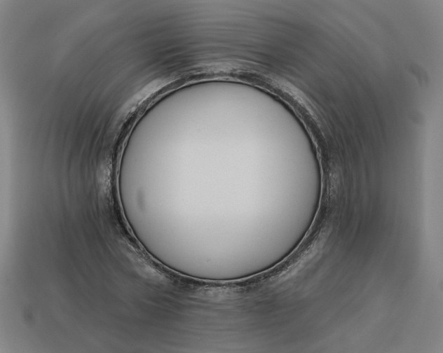 X0000113340778200910060957