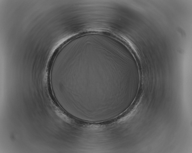 X0000113340779200910060957