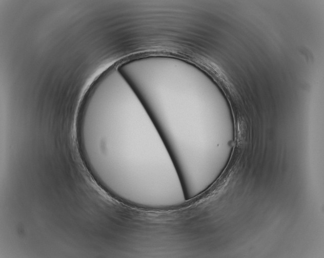 X0000113340780200910060957