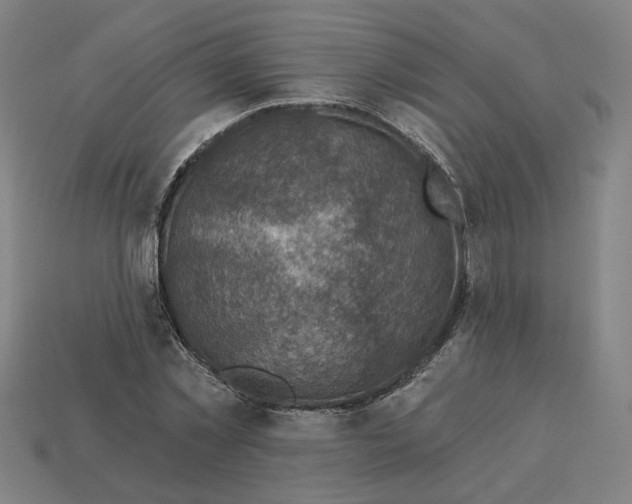 X0000113340781200910060957