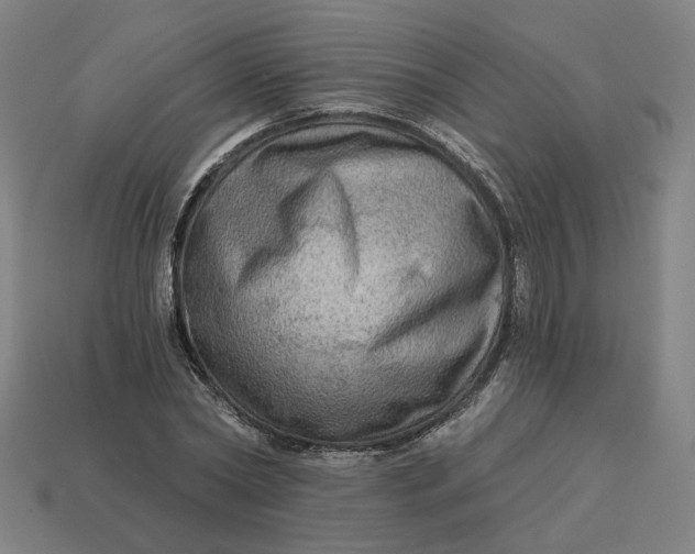 X0000113340782200910060957